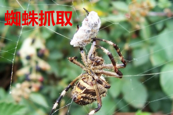 拉挤型材在化工生产与建筑中的防腐应用