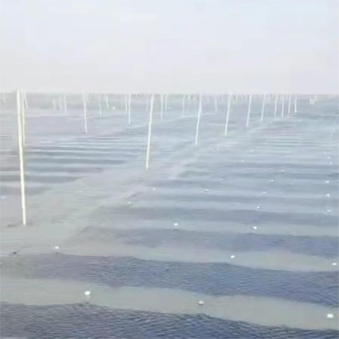 客户案例三